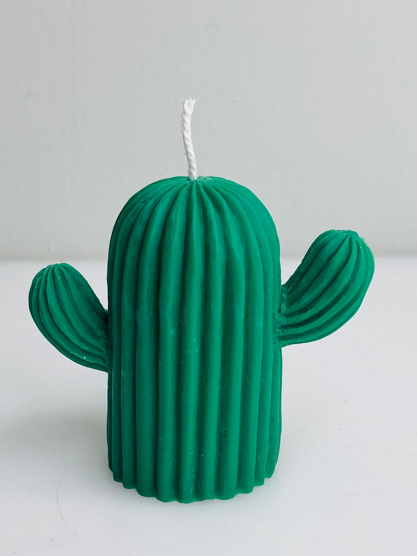 Cactus Candle