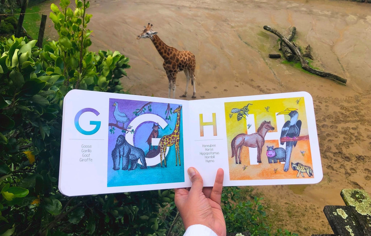 A to Z Alphabet Book